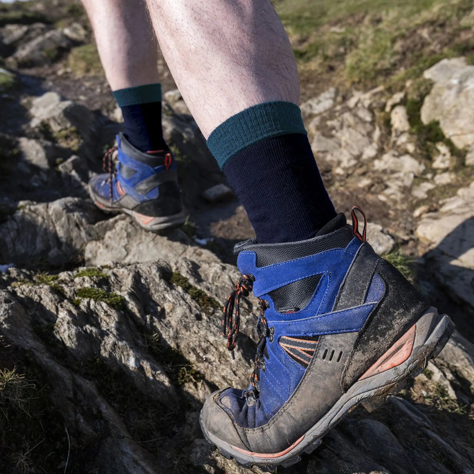 1 Pack Mens Explorer Heavyweight Merino Wool Boot Socks