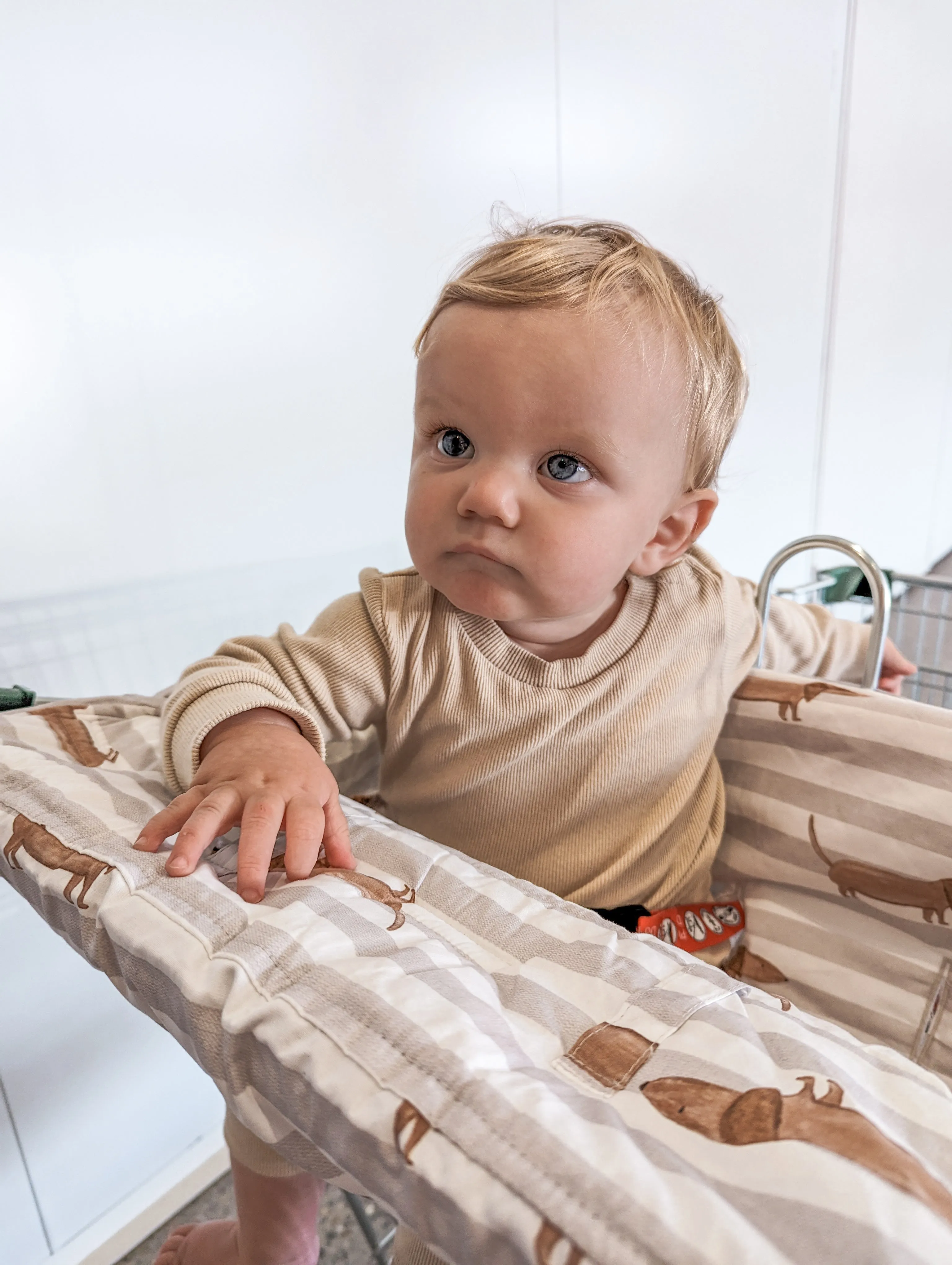 Bambella Double Trolley Liner | Dachshund Days