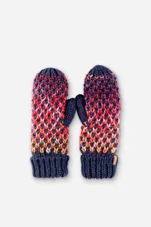 Chunky Space Dye Mittens