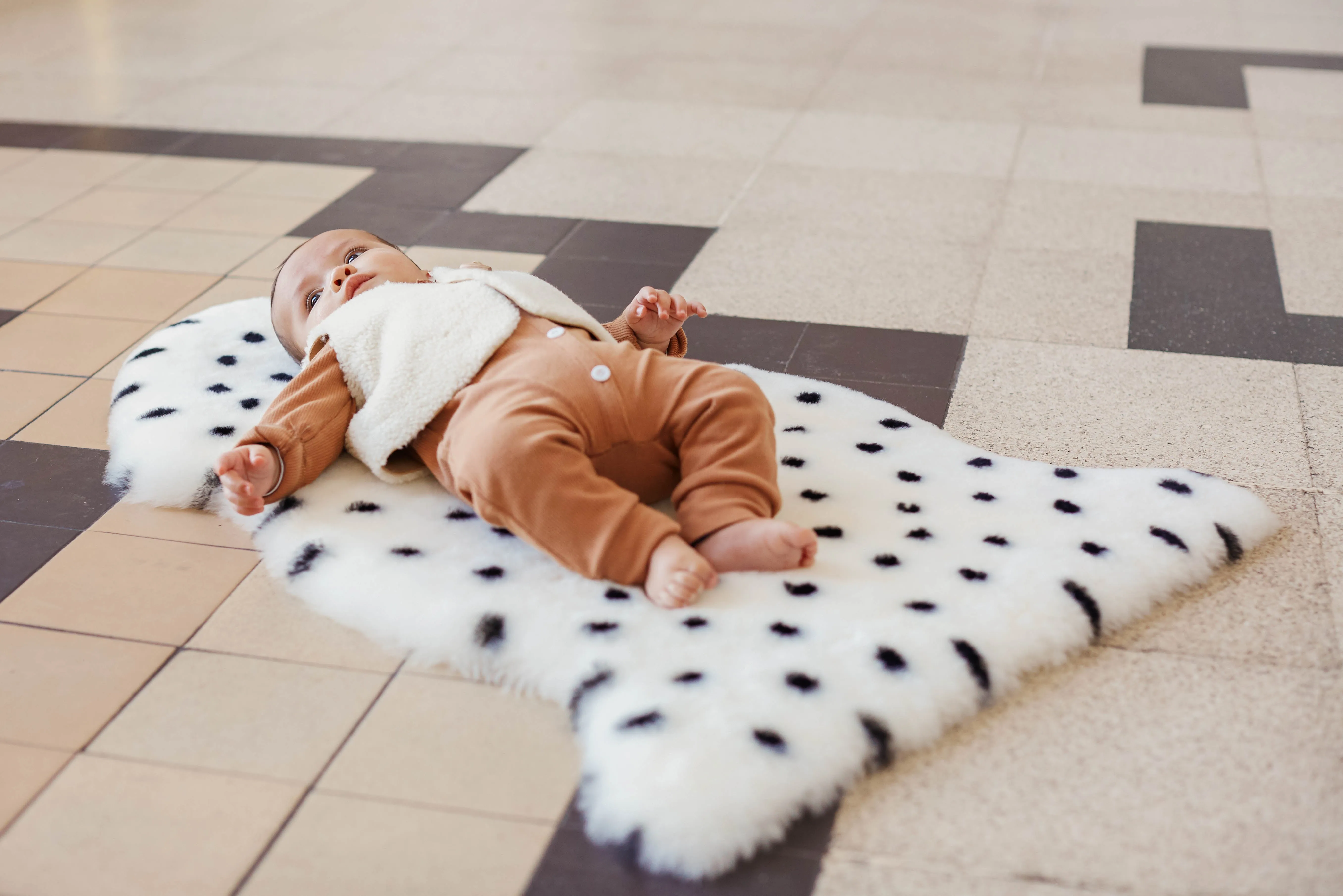 DALMATIAN WRIGGLEMAT