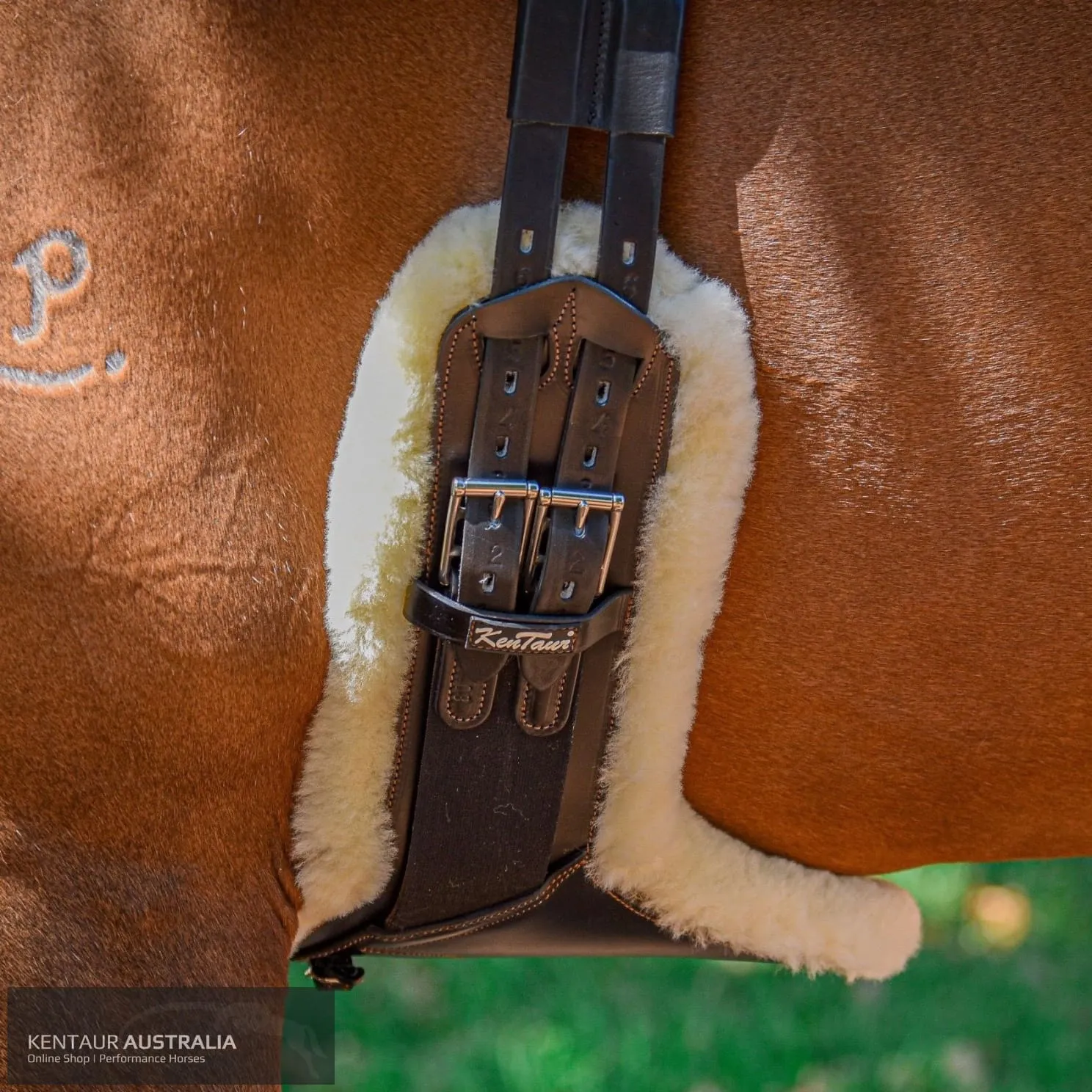 Kentaur 'Camarque' Stud Girth with Sheepskin