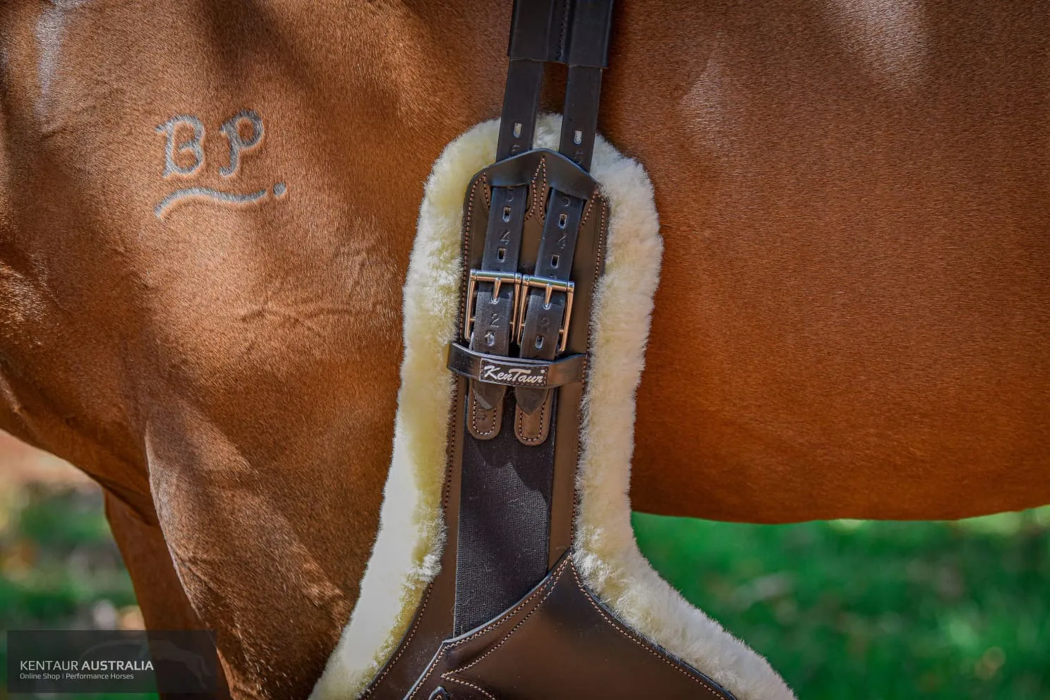 Kentaur 'Camarque' Stud Girth with Sheepskin