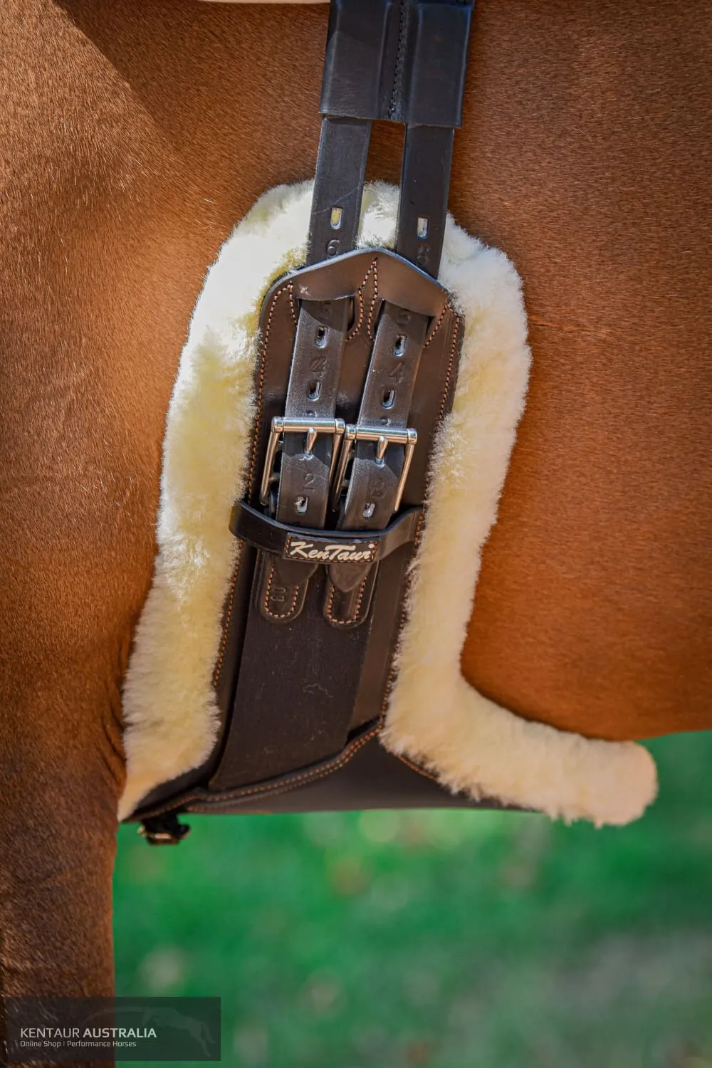 Kentaur 'Camarque' Stud Girth with Sheepskin