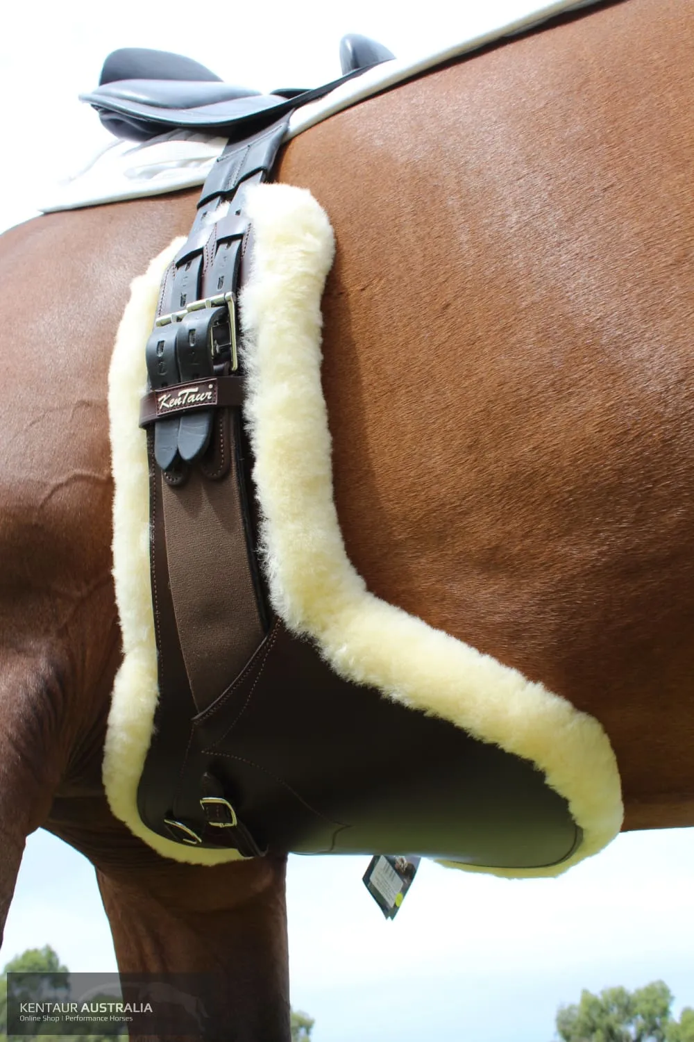 Kentaur 'Camarque' Stud Girth with Sheepskin