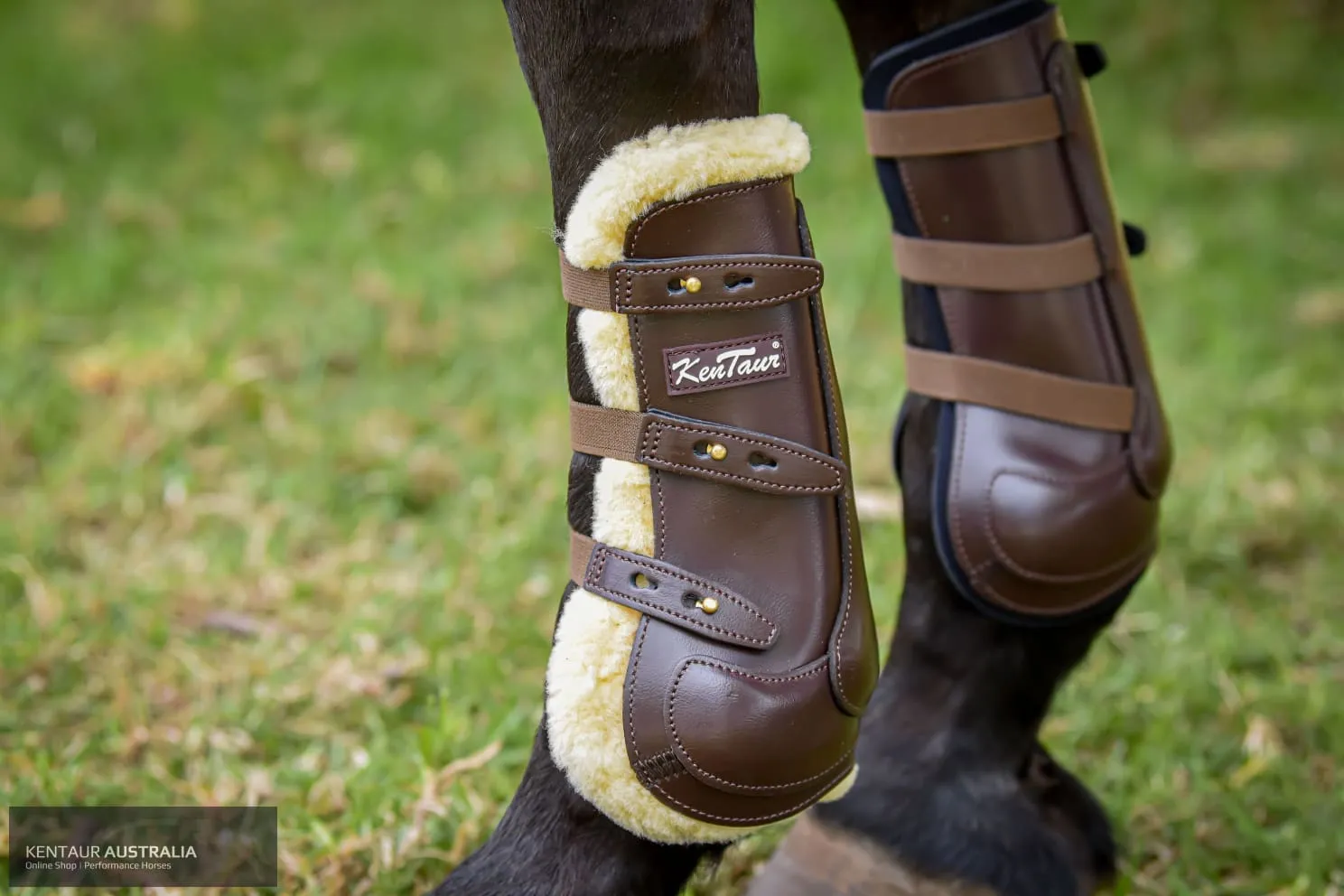 Kentaur ‘Oxford’ Front Sheepskin Show Jumping Boots