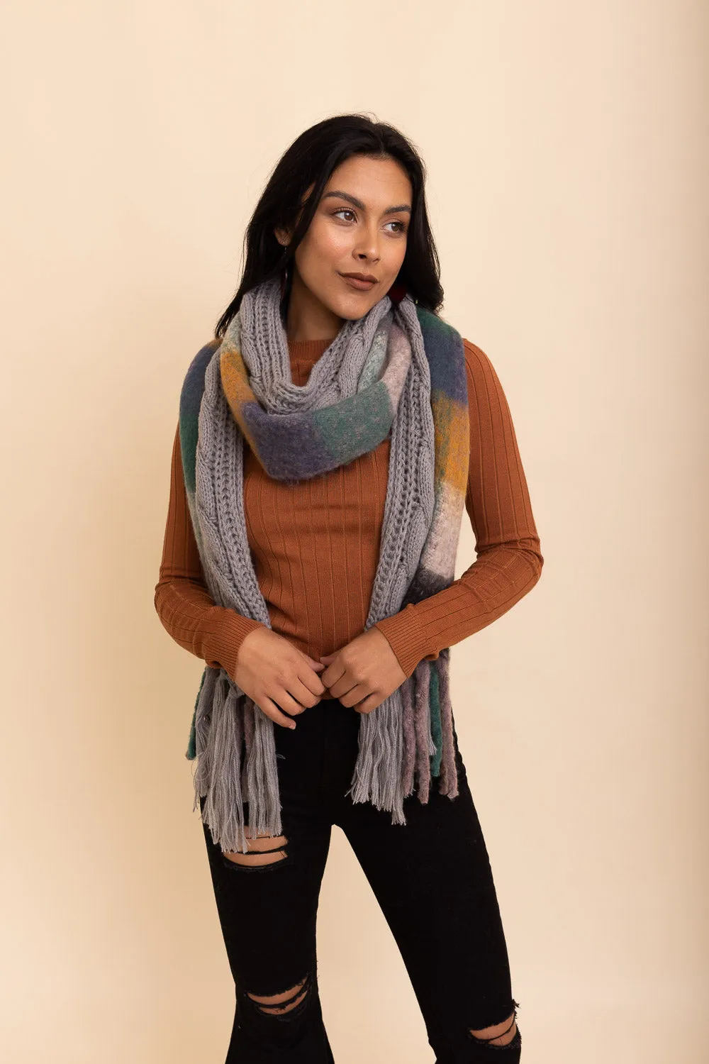 Knit Blend Tassel Trim Scarf (2 colors)