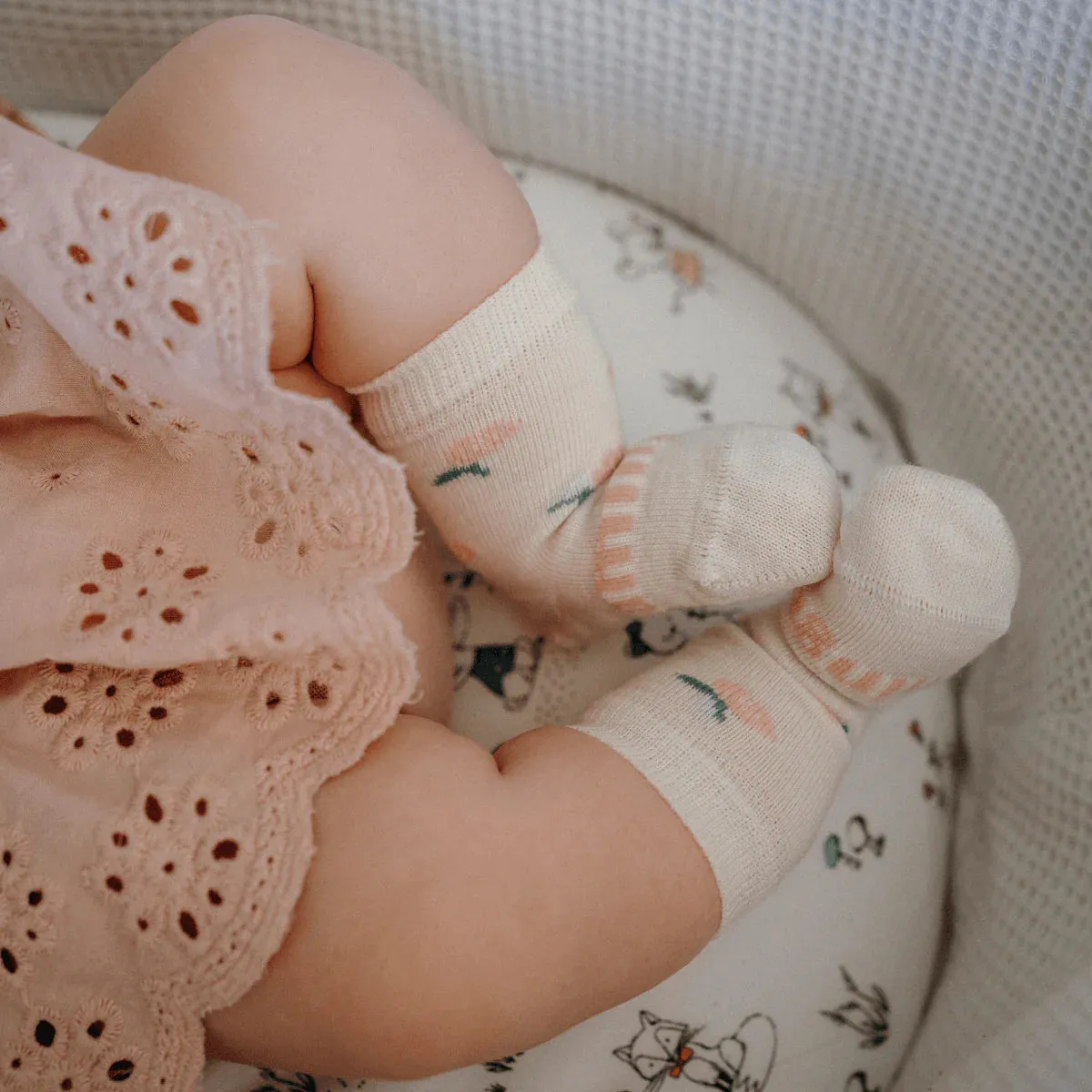 Lamington | Merino Crew Socks | Rosa | Infant Sizes