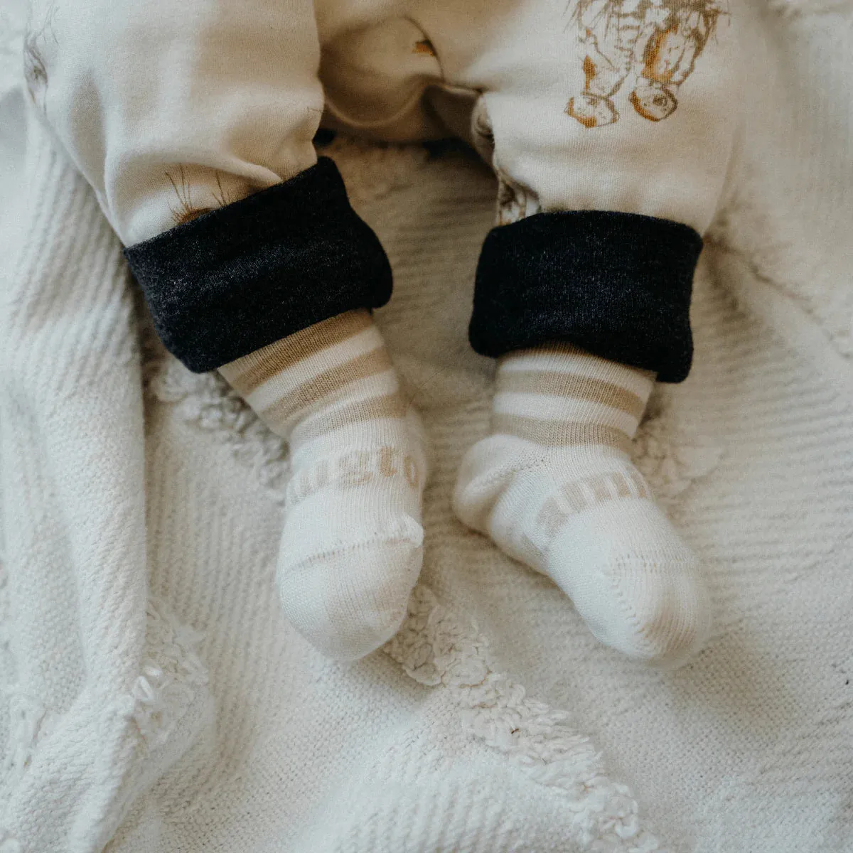 Lamington | Merino Crew Socks | Squirrel | Infant Sizes