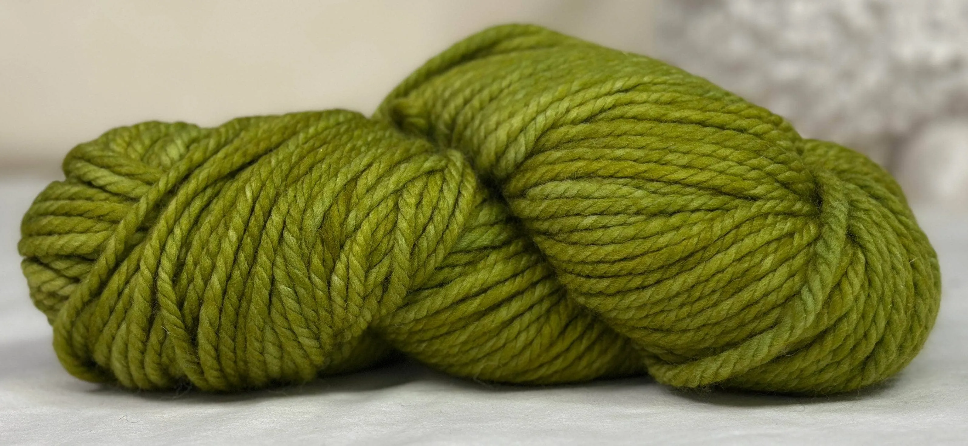 Malabrigo - Chunky - 037 - Lettuce