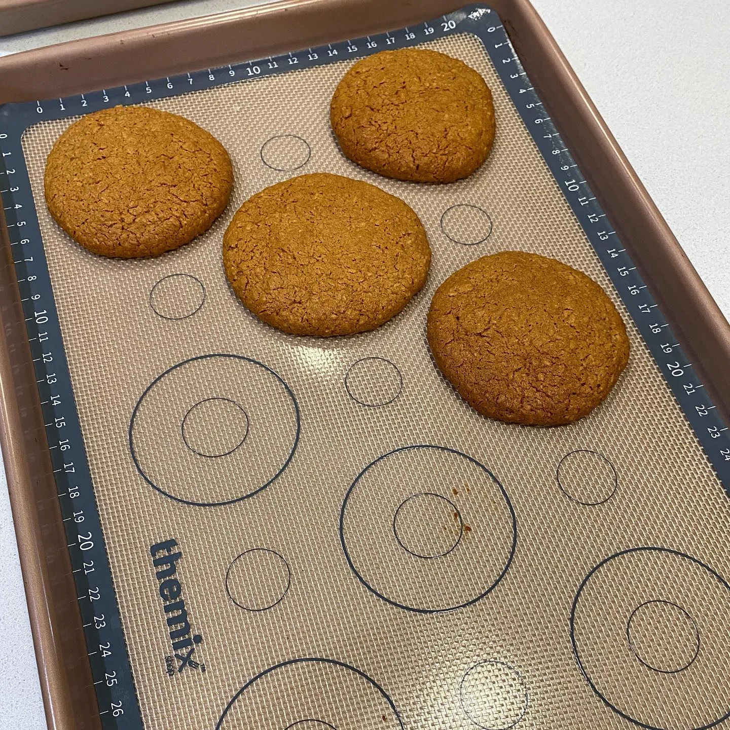 Oven Tray Liner