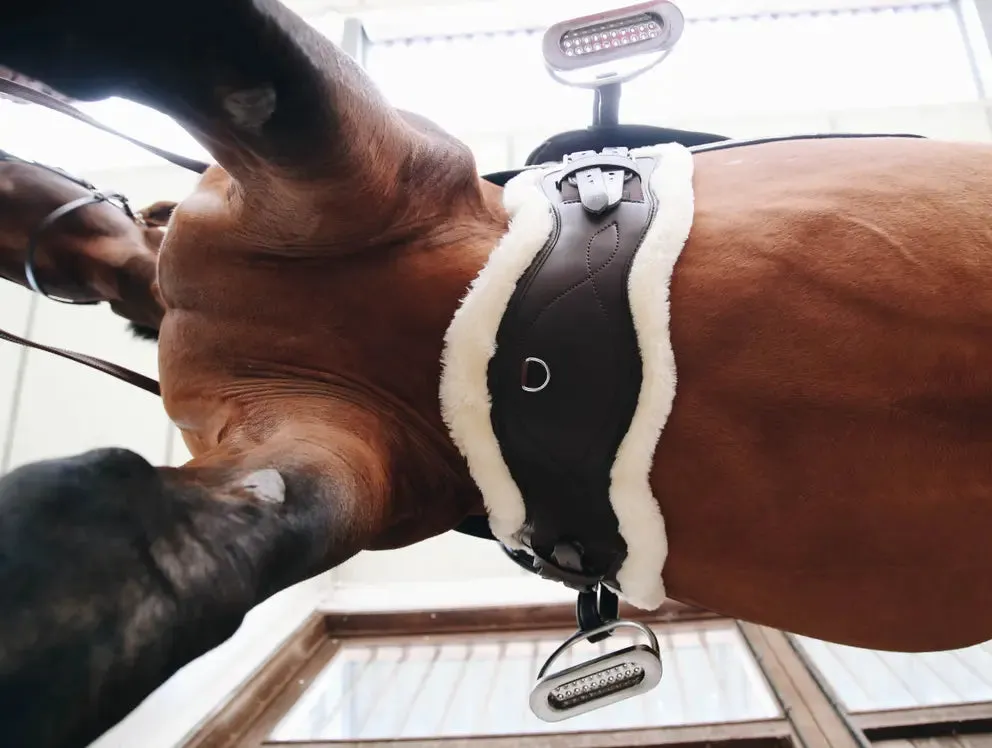 Sheepskin Anatomic Short Girth
