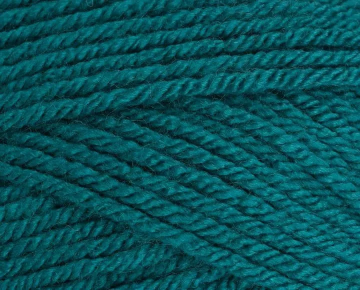 Stylecraft Special Chunky 100g