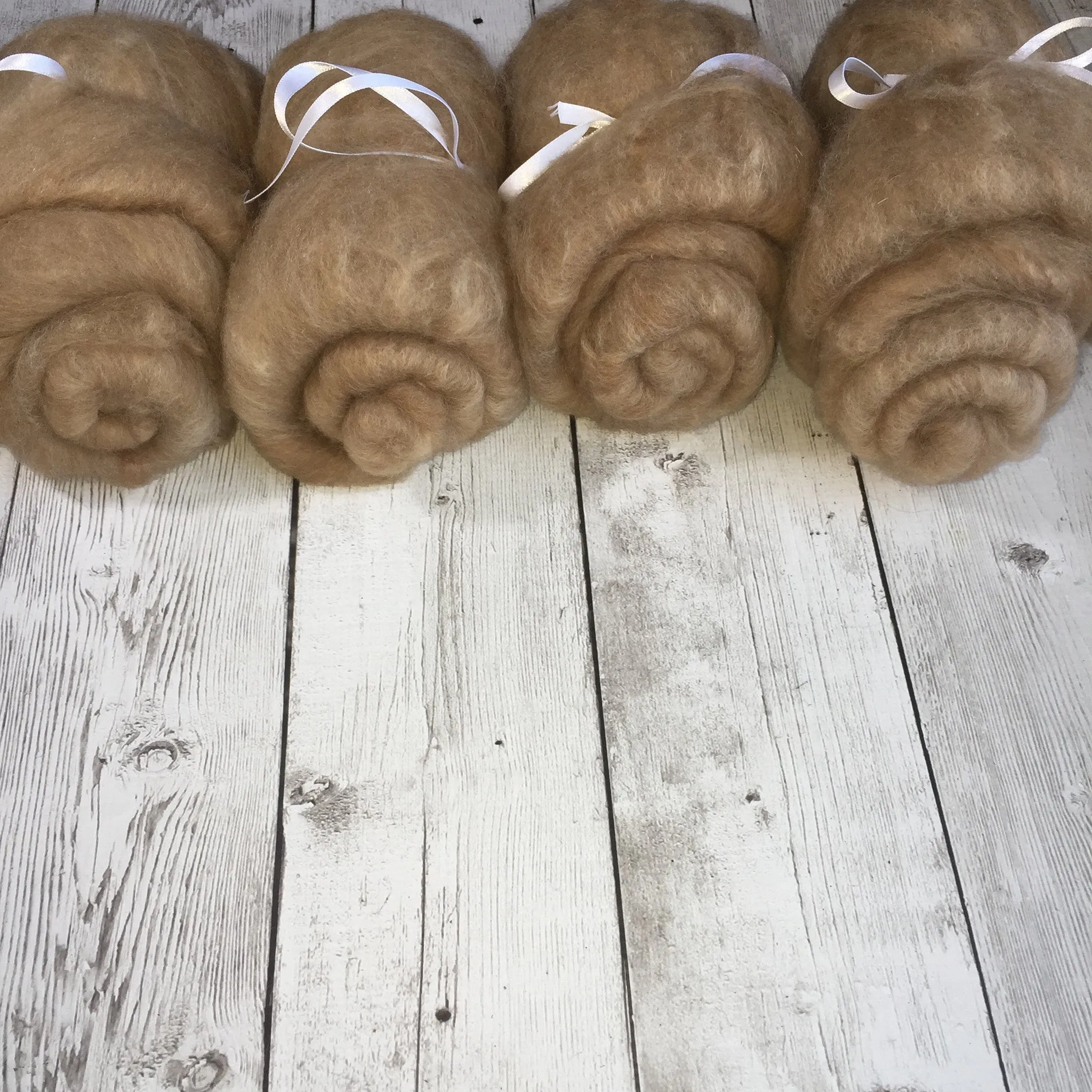 Virtual Adoption - Adopt-a-paca™ - DANTE (Superfine Fiber)  - BEIGE