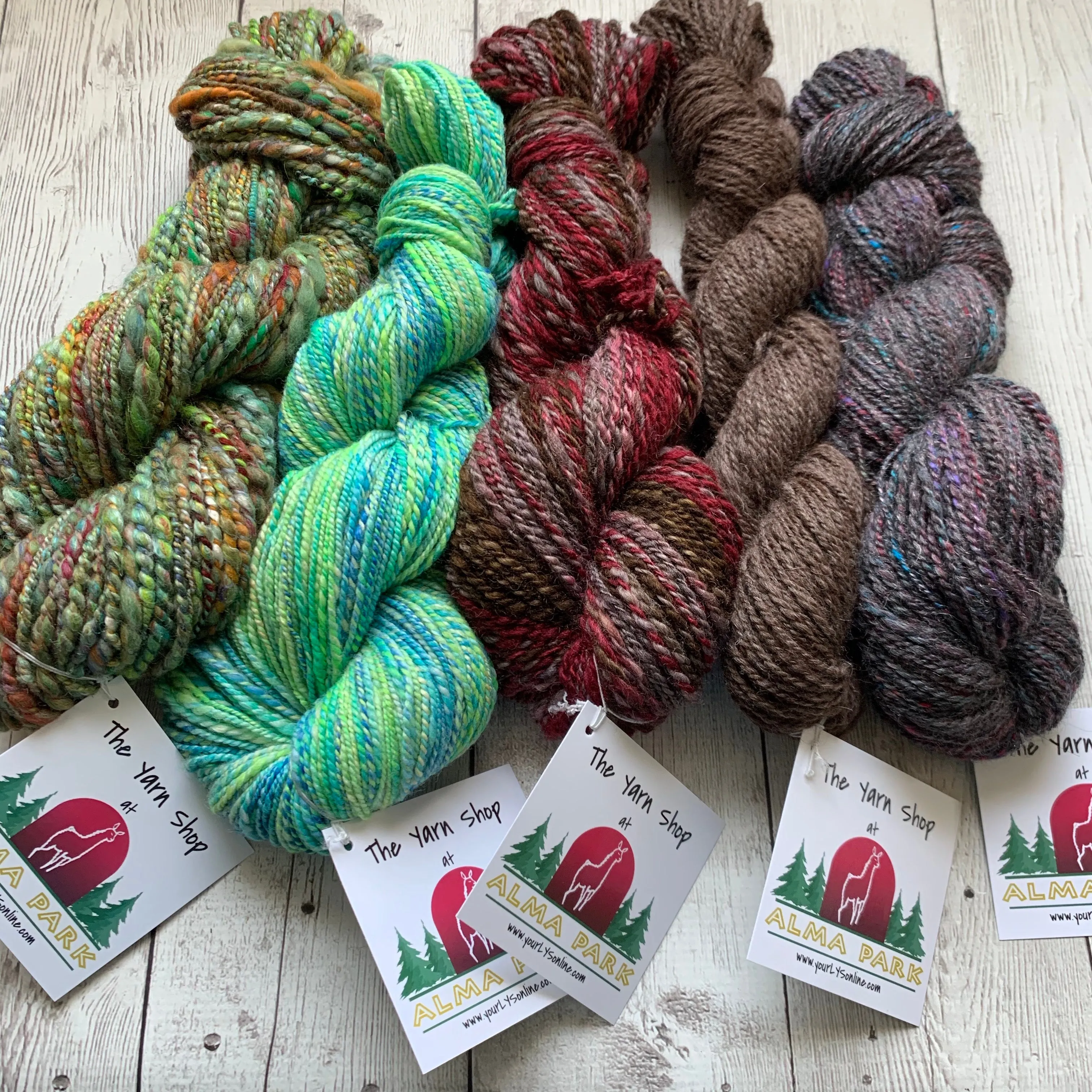 Virtual Adoption - Adopt-a-paca™ - DANTE (Superfine Fiber)  - BEIGE
