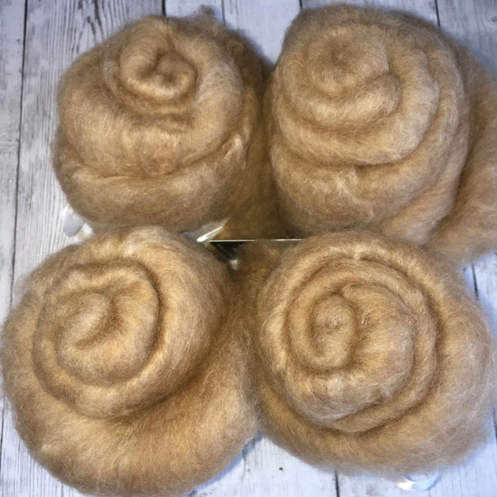 Virtual Adoption - Adopt-a-paca™ - DANTE (Superfine Fiber)  - BEIGE