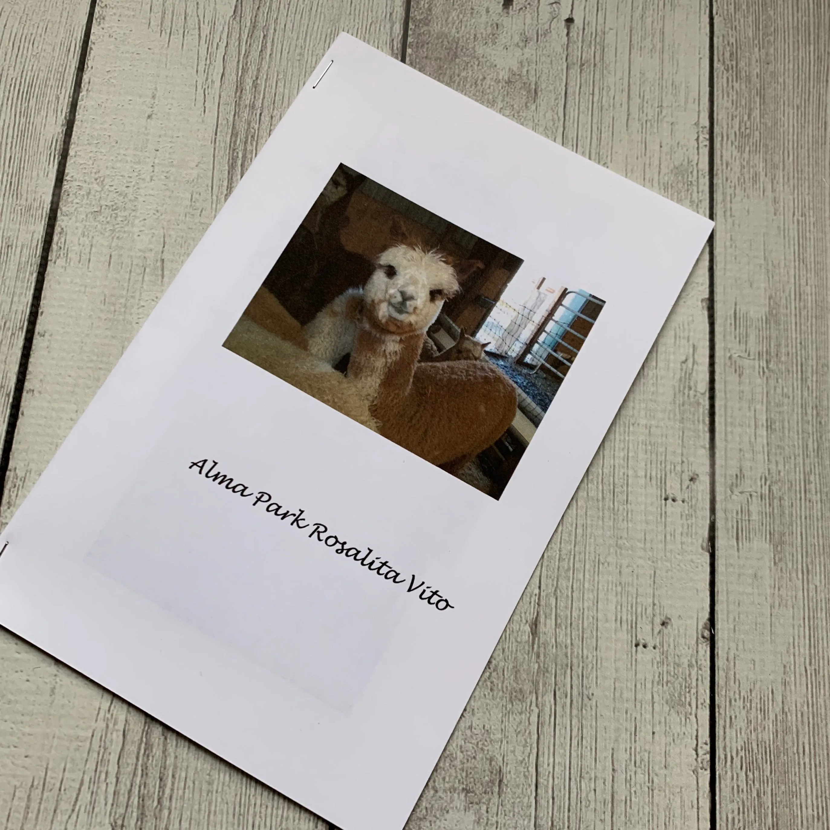 Virtual Adoption - Adopt-a-paca™ - SEBASTIAN (Superfine Fiber)  - Medium Fawn