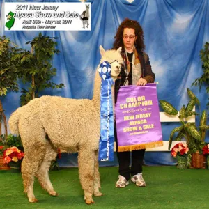 Virtual Adoption - Adopt-a-paca™ - THOR (Superfine Fiber)  - WHITE