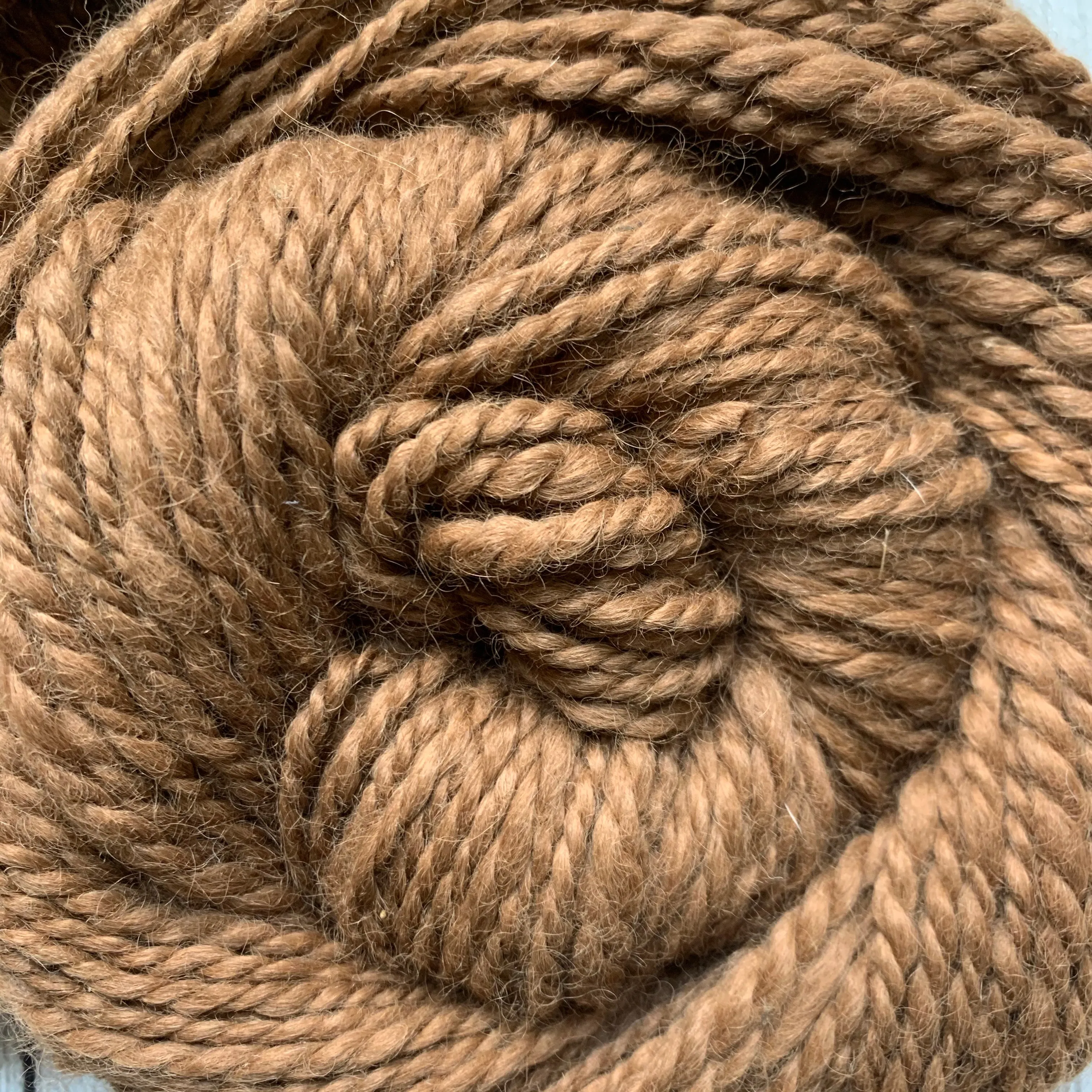 Virtual Adoption - Adopt-a-paca™ - THOR (Superfine Fiber)  - WHITE