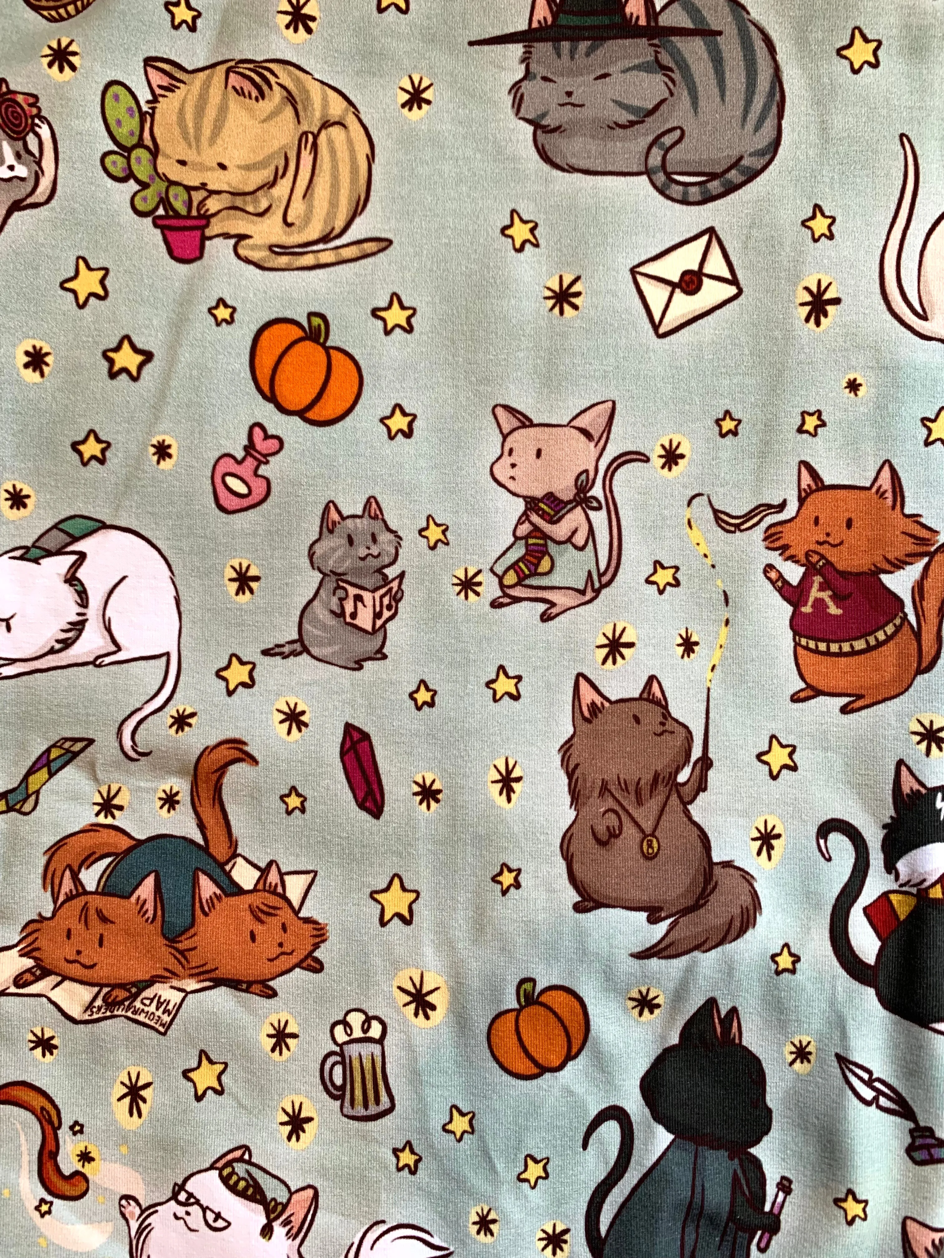 Wizard Kittens Mittens