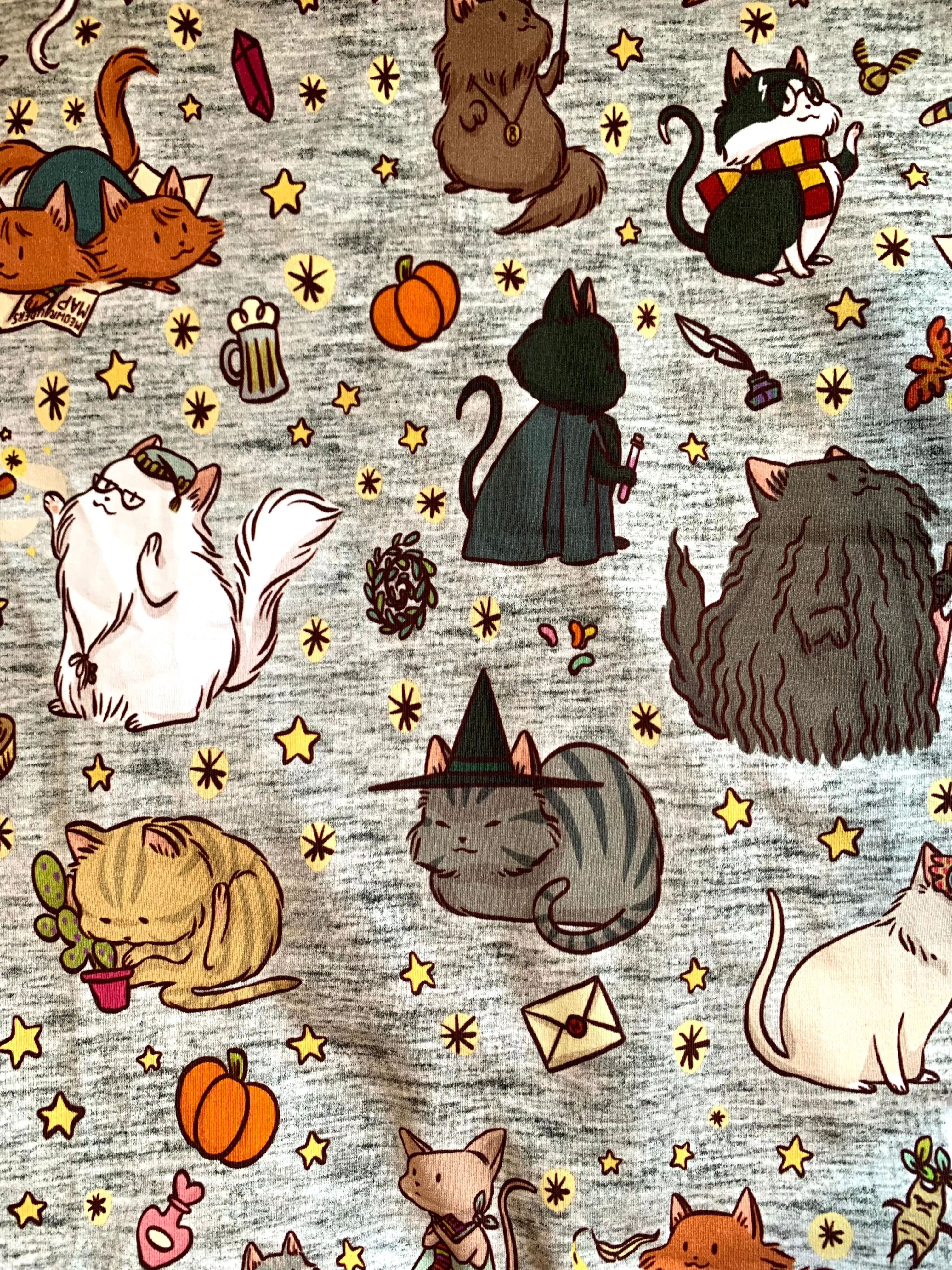 Wizard Kittens Mittens