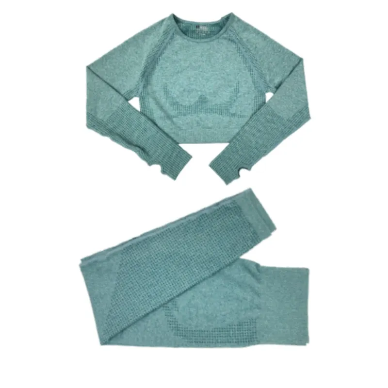 Women's Yoga Fitness Set, Long Sleeve Crop Top and High Waist Leggings