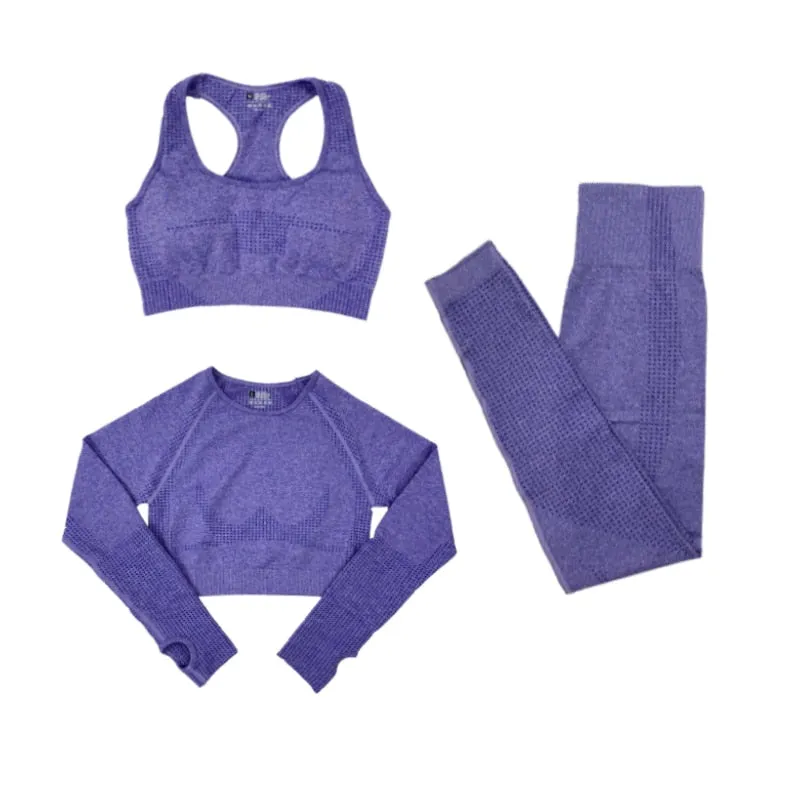 Women's Yoga Fitness Set, Long Sleeve Crop Top and High Waist Leggings