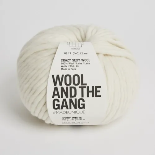Wool and the Gang: Crazy Sexy Wool