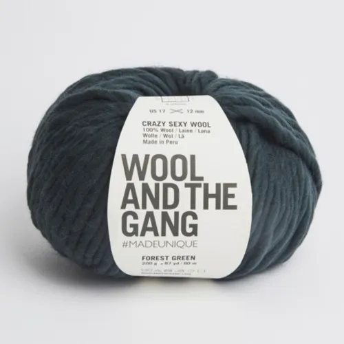 Wool and the Gang: Crazy Sexy Wool
