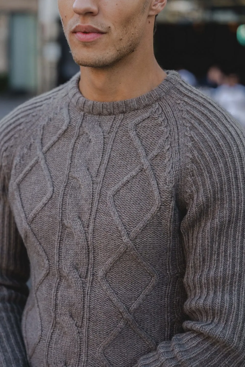 Wool Blend Chunky Cable Crew Neck in Dark Oatmeal